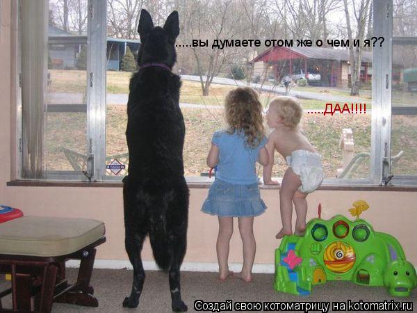 Котоматрица: .....вы думаете отом же о чем и я??  .....ДАА!!!!