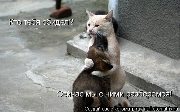 Кто тебя обидел? Сейчас мы с ними разберемся!... Котоматрица: Кто тебя обидел? Сейчас мы с ними разберемся!