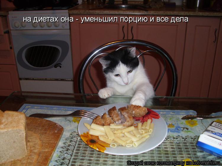 на диетах она - уменьшил порцию и все дела... Котоматрица: на диетах она - уменьшил порцию и все дела
