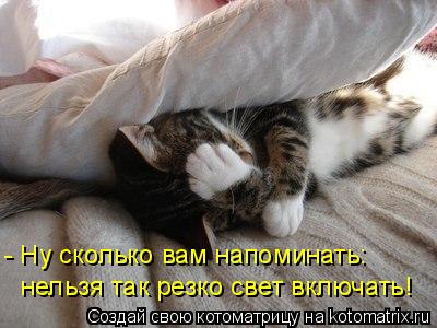 Котоматрица: - Ну сколько вам напоминать: нельзя так резко свет включать!