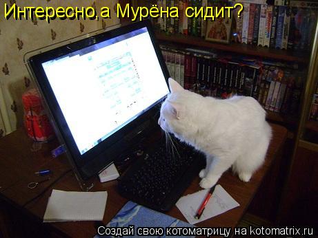 Интересно Интересно,а Мурёна сидит?... Котоматрица: Интересно Интересно,а Мурёна сидит?