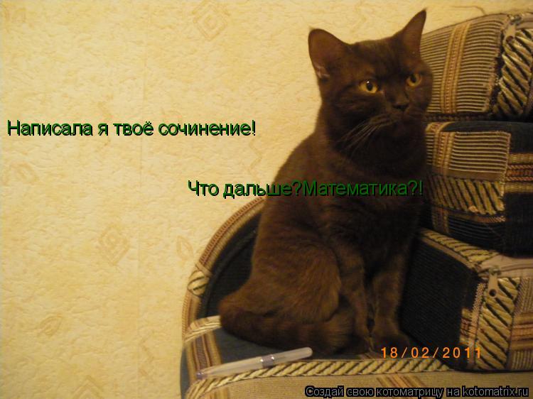 Написала я твоё сочинение! Что дальше?Математика?!... Котоматрица: Написала я твоё сочинение! Что дальше?Математика?!