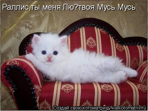 Раллис,ты меня Лю?твоя Мусь Мусь... Котоматрица: Раллис,ты меня Лю?твоя Мусь Мусь