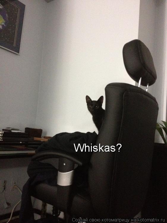 Whiskas?... Котоматрица: Whiskas?