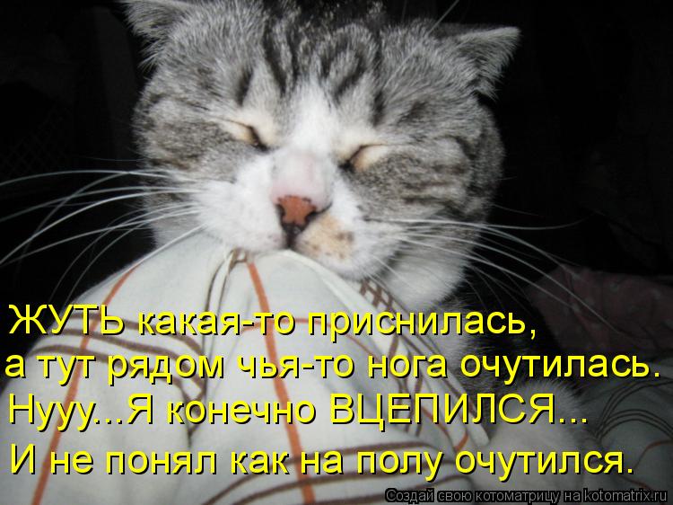 ЖУТЬ какая-то приснилась, а тут рядом чья-то нога очутилась. Нууу...Я конечно ВЦЕПИЛСЯ... И не понял ... Котоматрица: ЖУТЬ какая-то приснилась, а тут рядом чья-то нога очутилась. Нууу...Я конечно ВЦЕПИЛСЯ... И не понял как на полу очутился.