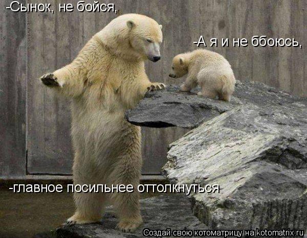 -Сынок, не бойся, -А я и не ббоюсь, -главное посильнее оттолкнуться... Котоматрица: -Сынок, не бойся, -А я и не ббоюсь, -главное посильнее оттолкнуться