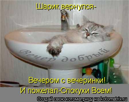 Шарик вернулся- Вечером с вечеринки! И пожелал-Спокухи Всем!... Котоматрица: Шарик вернулся- Вечером с вечеринки! И пожелал-Спокухи Всем!