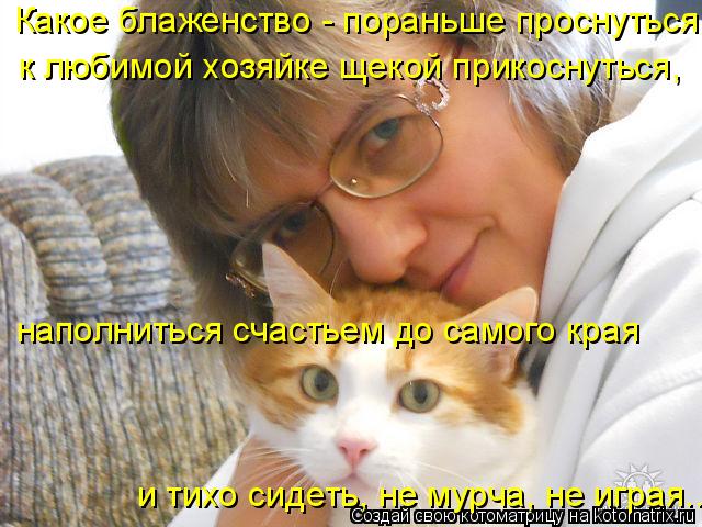 Какое блаженство - пораньше проснуться, к любимой хозяйке щекой прикоснуться, наполниться счастьем ... Котоматрица: Какое блаженство - пораньше проснуться, к любимой хозяйке щекой прикоснуться, наполниться счастьем до самого края и тихо сидеть, не мурча,