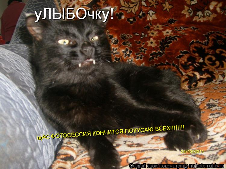 уЛЫБОчку! щАС ФОТОСЕССИЯ КОНЧИТСЯ,ПОКУСАЮ ВСЕХ!!!!!!!!... Котоматрица: уЛЫБОчку! щАС ФОТОСЕССИЯ КОНЧИТСЯ,ПОКУСАЮ ВСЕХ!!!!!!!!