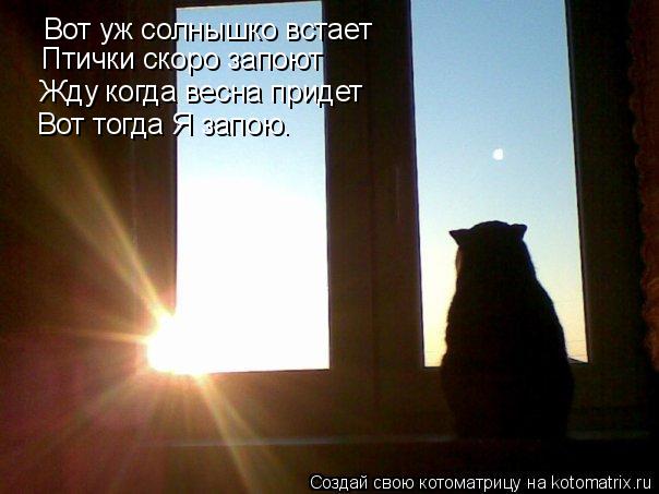 Вот уж солнышко встает Птички скоро запоют Жду когда весна придет Вот тогда Я запою.... Котоматрица: Вот уж солнышко встает Птички скоро запоют Жду когда весна придет Вот тогда Я запою.