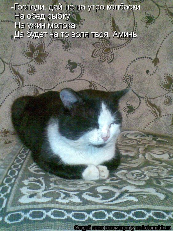 -Господи. дай не на утро колбаски На обед рыбку На ужин молока Да будет на то воля твоя, Аминь... Котоматрица: -Господи. дай не на утро колбаски На обед рыбку На ужин молока Да будет на то воля твоя, Аминь