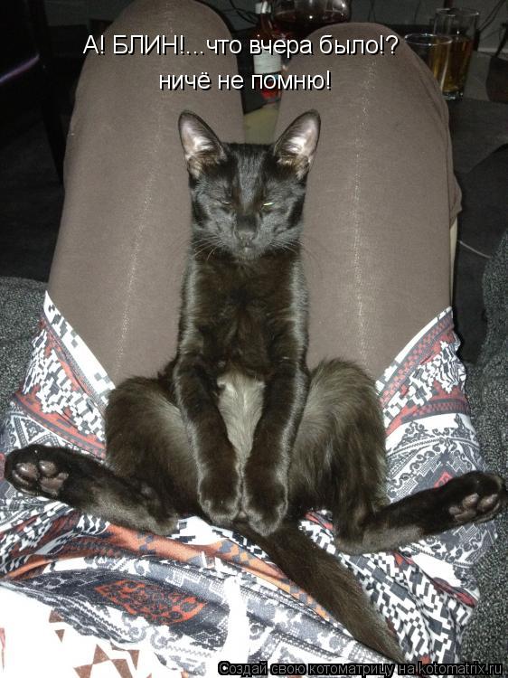 А! БЛИН!...что вчера было!? ничё не помню!... Котоматрица: А! БЛИН!...что вчера было!? ничё не помню!