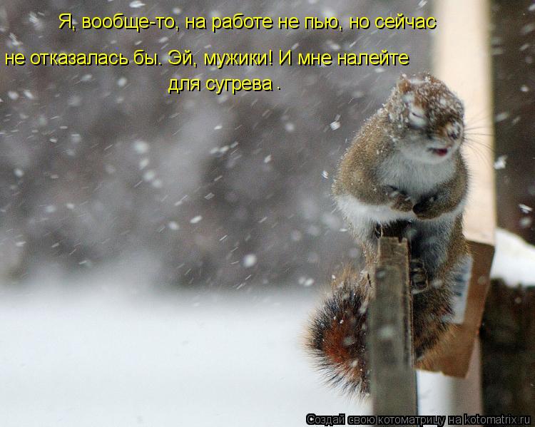 Я, вообще-то, на работе не пью, но сейчас не отказалась бы. Эй, мужики! И мне налейте для сугрева .... Котоматрица: Я, вообще-то, на работе не пью, но сейчас не отказалась бы. Эй, мужики! И мне налейте для сугрева .