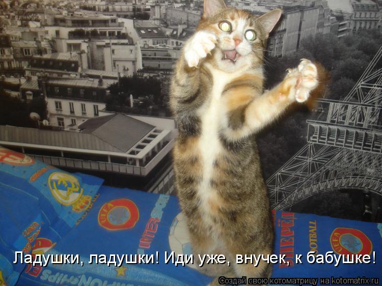 Ладушки, ладушки! Иди уже, внучек, к бабушке!... Котоматрица: Ладушки, ладушки! Иди уже, внучек, к бабушке!