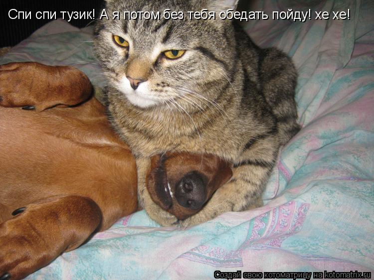 Спи спи тузик! А я потом без тебя обедать пойду! хе хе!... Котоматрица: Спи спи тузик! А я потом без тебя обедать пойду! хе хе!