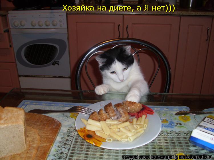 Хозяйка на диете, а Я нет)))... Котоматрица: Хозяйка на диете, а Я нет)))