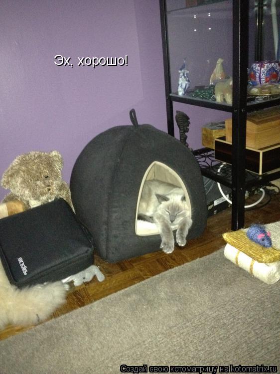 Эх, хорошо!... Котоматрица: Эх, хорошо!