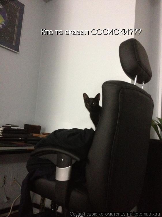 Кто то сказал СОСИСКИ???... Котоматрица: Кто то сказал СОСИСКИ???