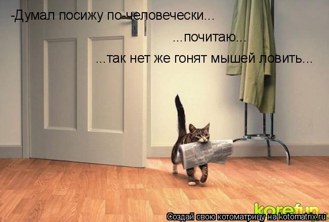 -Думал посижу по-человечески... ...почитаю... ...так нет же гонят мышей ловить...... Котоматрица: -Думал посижу по-человечески... ...почитаю... ...так нет же гонят мышей ловить...