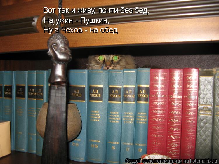 Вот так и живу, почти без бед. На ужин - Пушкин, Ну а Чехов - на обед.... Котоматрица: Вот так и живу, почти без бед. На ужин - Пушкин, Ну а Чехов - на обед.
