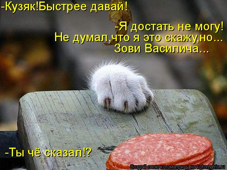 -Кузяк!Быстрее давай! -Я достать не могу! Не думал,что я это скажу,но... Зови Василича... -Ты чё ска... Котоматрица: -Кузяк!Быстрее давай! -Я достать не могу! Не думал,что я это скажу,но... Зови Василича... -Ты чё сказал!?