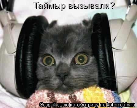 Таймыр вызывали?... Котоматрица: Таймыр вызывали?