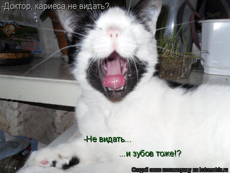 -Доктор, кариеса не видать? -Не видать... ...и зубов тоже!?... Котоматрица: -Доктор, кариеса не видать? -Не видать... ...и зубов тоже!?