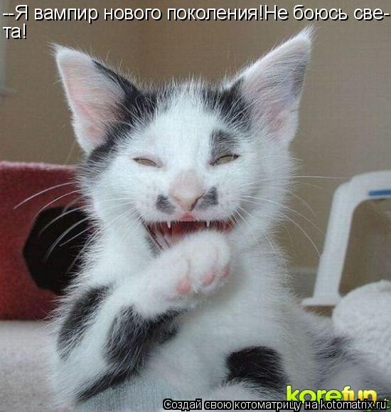 --Я вампир нового поколения!Не боюсь све- та!... Котоматрица: --Я вампир нового поколения!Не боюсь све- та!