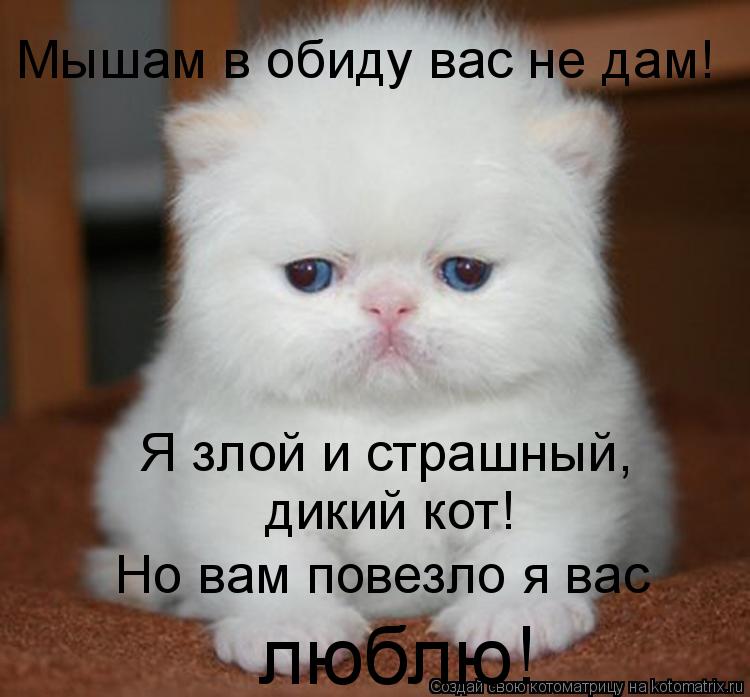 Статус я не дам тебя в обиду не дам Статус я не дам тебя в обиду не дам