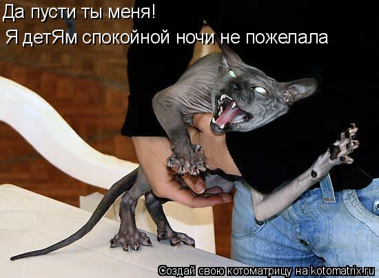Котоматрица: Я детЯм спокойной ночи не пожелала Да пусти ты меня!