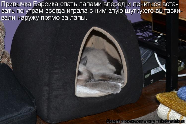Привычка Барсика спать лапами вперёд и лениться вста- вать по утрам всегда играла с ним злую шутку:ег... Котоматрица: Привычка Барсика спать лапами вперёд и лениться вста- вать по утрам всегда играла с ним злую шутку:его вытаски- вали наружу прямо за лапы.