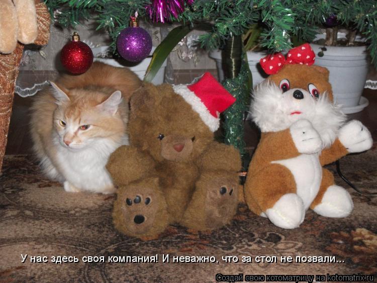 У нас здесь своя компания! И неважно, что за стол не позвали...... Котоматрица: У нас здесь своя компания! И неважно, что за стол не позвали...