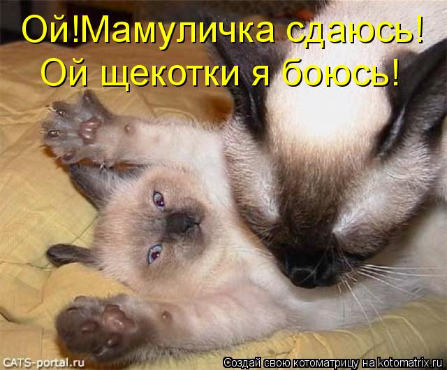 Oй!Мамуличка сдаюсь! Ой щекотки я боюсь!... Котоматрица: Oй!Мамуличка сдаюсь! Ой щекотки я боюсь!
