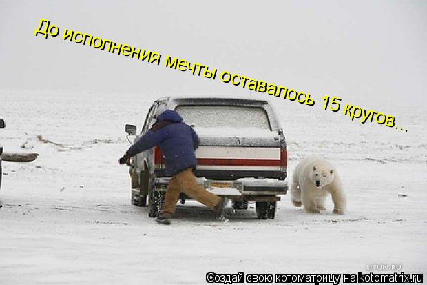 До исполнения мечты оставалось 15 кругов...... Котоматрица: До исполнения мечты оставалось 15 кругов...
