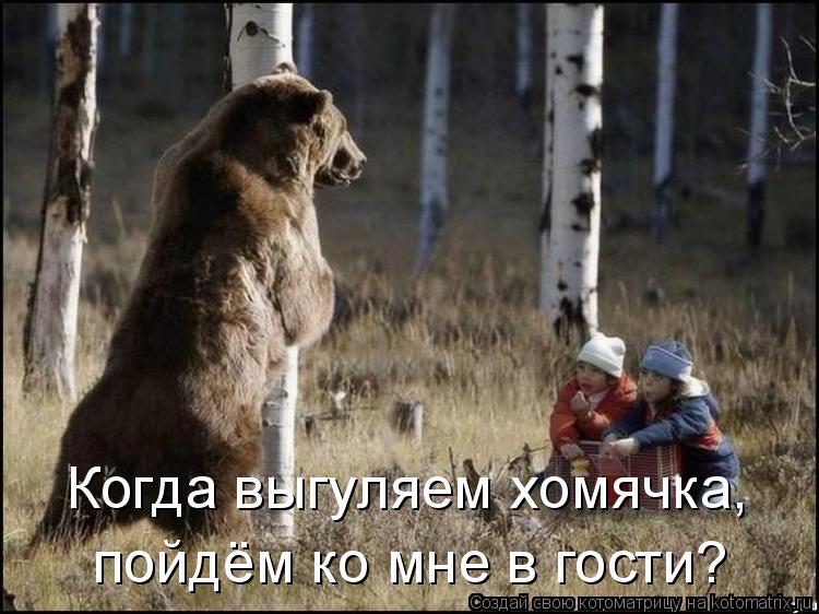 Когда выгуляем хомячка, пойдём ко мне в гости?... Котоматрица: Когда выгуляем хомячка, пойдём ко мне в гости?
