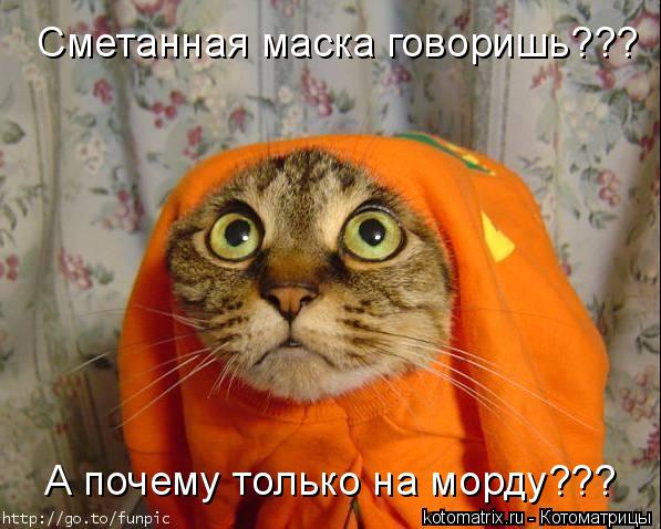 Котоматрица: Сметанная маска говоришь??? А почему только на морду???