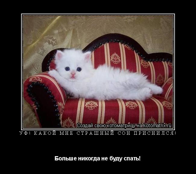 Котоматрица: Уф! Какой мне страшный сон приснился! Больше никогда не буду спать!