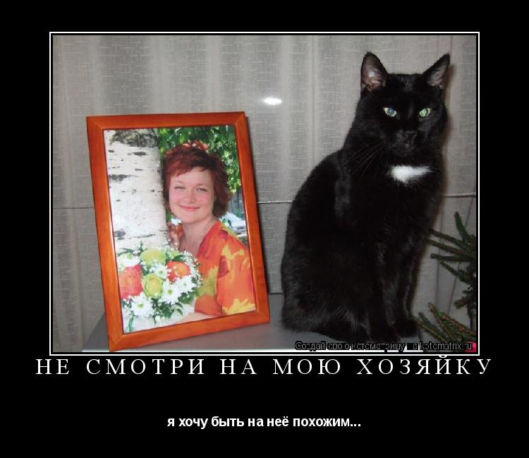 Не смотри на мою хозяйку я хочу быть на неё похожим...... Котоматрица: Не смотри на мою хозяйку я хочу быть на неё похожим...