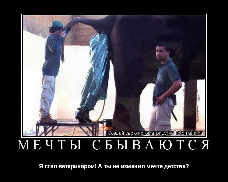 Мечты сбываются Я стал ветеринаром! А ты не изменил мечте детства?... Котоматрица: Мечты сбываются Я стал ветеринаром! А ты не изменил мечте детства?