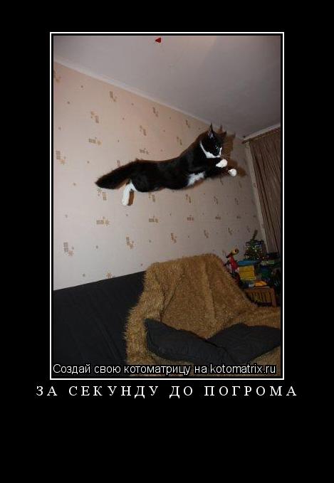За секунду до погрома ... Котоматрица: За секунду до погрома