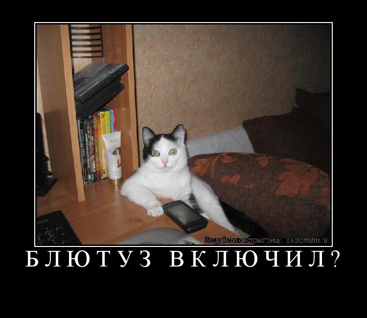 Блютуз включил? ... Котоматрица: Блютуз включил?