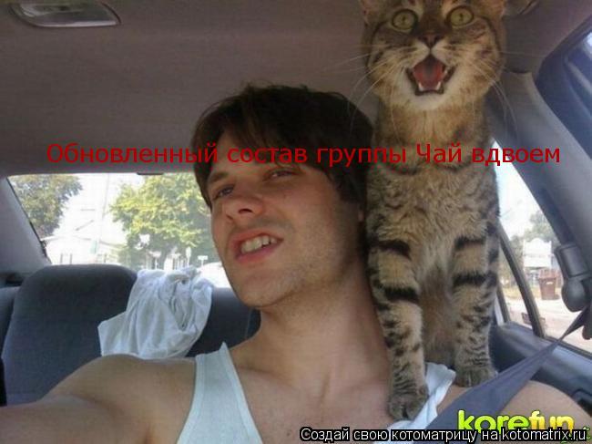 Обновленный состав группы Чай вдвоем... Котоматрица: Обновленный состав группы Чай вдвоем
