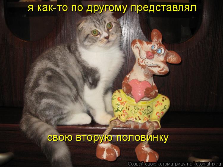 я как-то по другому представлял свою вторую половинку... Котоматрица: я как-то по другому представлял свою вторую половинку