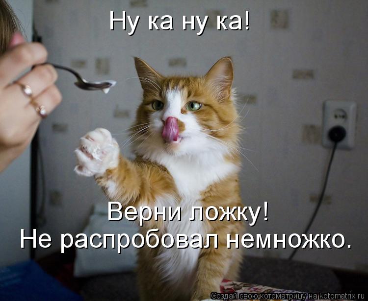 Ну ка ну ка! Не распробовал немножко. Верни ложку!... Котоматрица: Ну ка ну ка! Не распробовал немножко. Верни ложку!