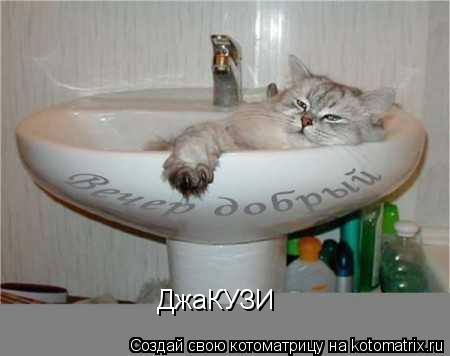 ДжаКУЗИ... Котоматрица: ДжаКУЗИ