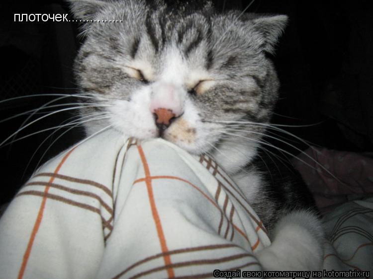 плоточек.................. Котоматрица: плоточек...............