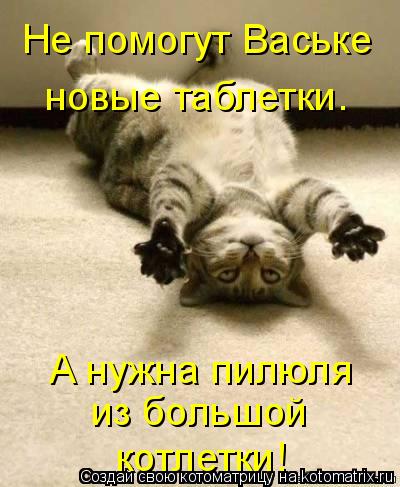 Не помогут Ваське новые таблетки. А нужна пилюля из большой котлетки!... Котоматрица: Не помогут Ваське новые таблетки. А нужна пилюля из большой котлетки!