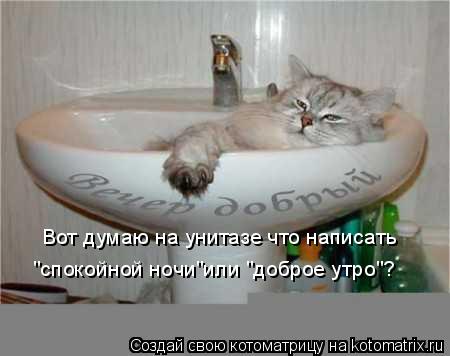 Вот думаю на унитазе что написать "спокойной ночи"или "доброе утро"?... Котоматрица: Вот думаю на унитазе что написать "спокойной ночи"или "доброе утро"?