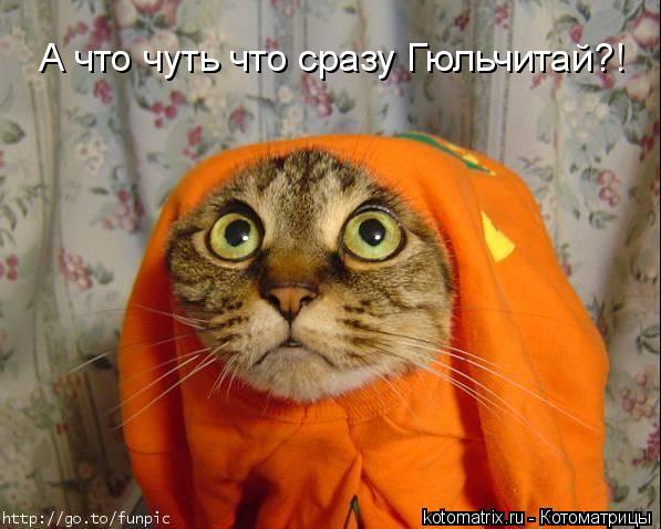А что чуть что сразу Гюльчитай?!... Котоматрица: А что чуть что сразу Гюльчитай?!