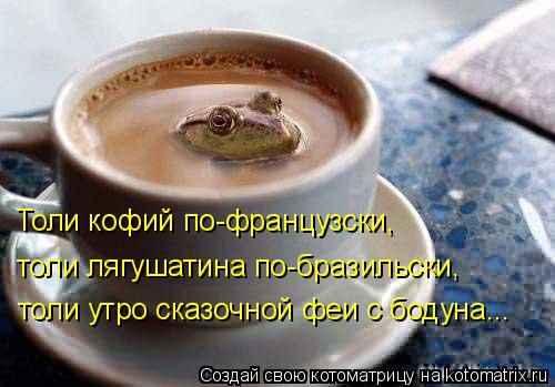 Котоматрица: Толи кофий по-французски, толи лягушатина по-бразильски, толи утро сказочной феи с бодуна...